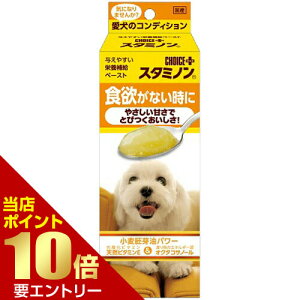 _XSi|Cg10{^vGg[X^~m H~Ȃ 40g