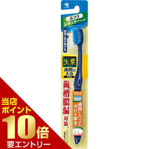 _XSi|Cg10{^vGg[t ԂɓuV M[ ӂ 1{