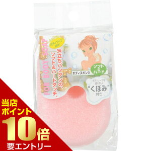 _XSi|Cg10{^vGg[{fB\[vp {fBX|W \tgn[h 1R