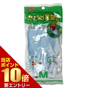 _XSi|Cg10{^vGg[sb^w M u[|p sb^w K[fjOO[u Ɨpߗ  K[fjO