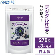 ブルーベリー 約3ヶ月分 270粒RoyalBS 公式 サプリ 目 眼 カシス クコの実 アントシアニン パソコン スッ…