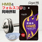 HMB フォルスコリ お徳用 150粒[メール便対応商品]HMBサプリ フィットネス フォルスコリ コレウス・フォルスコリー クレアチン アミノ酸 BCAA 業務用 お徳用 5ヶ月分 サプリメント 大容量 お徳用 健康 美容 RoyalBS 日本製