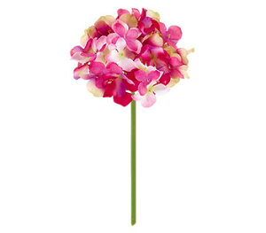 y EĂ̑ EEzԁzt@CAWTCsbNBCtEr[eB[^sN