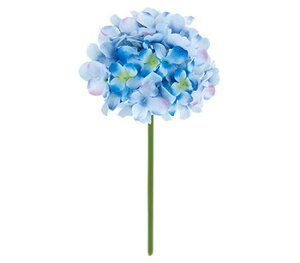 y EĂ̑ EEzԁzt@CAWTCsbNBCtEu[