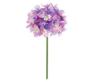 y EĂ̑ EEzԁzt@CAWTCsbNBCtEx_[