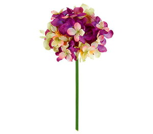 y EĂ̑ EEzԁzt@CAWTCsbNBCtEp[v^O[