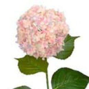 y EĂ̑ EEzԁzqAWTCECbN