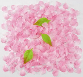 楽天市場 桜 造花 花びらの通販