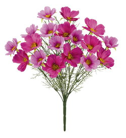 楽天市場 コスモス 花 観葉植物 花 ガーデン Diy の通販 楽天市場 コスモス 花 観葉植物 花 ガーデン Diy の通販