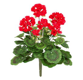 楽天市場 ゼラニウム 赤 花 観葉植物 花 ガーデン Diy の通販