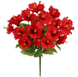 �y���� �E�Ă̑��� �E�n�C�r�X�J�X�z�g���s�J���n�C�r�X�J�X�u�b�V���E���b�h