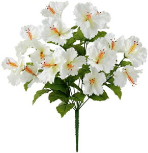 y EĂ̑ EnCrXJXzgsJnCrXJXubVEzCg