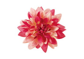 楽天市場 フクシア 造花 造花 人工観葉植物 花 観葉植物 花 ガーデン Diyの通販
