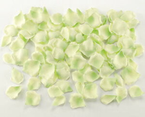 yԁEVNt[z[Yy^ECO[i1pbN100jt[V[Et[y^EEFfBOEuC_EEԁEA[gt[Et[