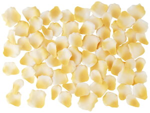 yԁEVNt[z[Yy^ECgIWi1pbN100jt[V[Et[y^EEFfBOEuC_EEԁEA[gt[Et[