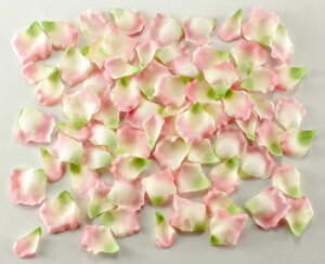 yԁEVNt[z[Yy^EsN^O[i1pbN100jt[V[Et[y^EEFfBOEuC_EEԁEA[gt[Et