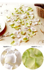 yԁEVNt[zRrl[VE[Yy^EzCg@CO[(1=100)21Zbgt[V[Et[y^EEFfBOEuC_EE