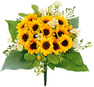 yԁEЂ܂Ez~bNXTt[ubV