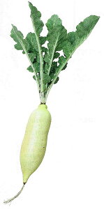 yHiTvEʕE؁Et[cExW^uz_CR@tFCNt[h@fBXvC