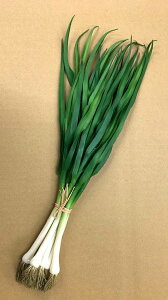 yHiTvEʕE؁Et[cExW^uz˂(6{/)(C[Ȃ)@tFCNt[h@fBXvC