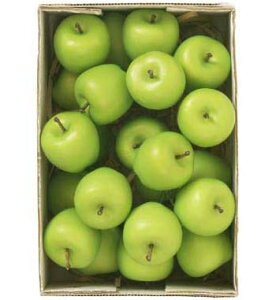 yHiTvEʕE؁Et[cExW^uz35mmO[AbvsbN(24{/pbN)@tFCNt[h@fBXvC