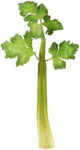 yHiTvEʕE؁Et[cExW^uzZ(3{/pbN)@tFCNt[h@fBXvC