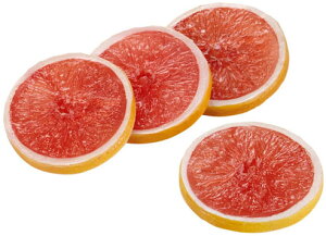 yHiTvEʕE؁Et[cExW^uzO[vt[cXCX(4P/pbN)(\tg^b`)(BCt)@tFCNt[h@fBXvC