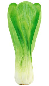 yHiTvEʕE؁Et[cExW^uz`Q(X`[)@tFCNt[h@fBXvC