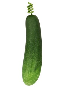 yHiTvEʕE؁Et[cExW^uzYbL[j@tFCNt[h@fBXvC