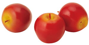 yHiTvEʕE؁Et[cExW^uzAbv(3P/pbN)@tFCNt[h@fBXvC