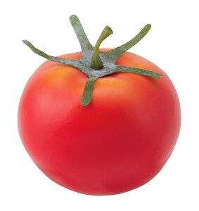 yHiTvEʕE؁Et[cExW^uztbVg}g@tFCNt[h@fBXvC