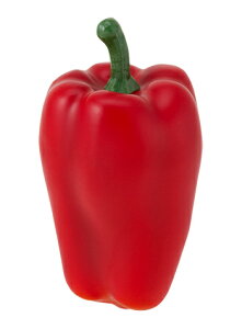 yHiTvEʕE؁Et[cExW^uzs[}(3P/pbN)(BCt)Ebh@tFCNt[h@fBXvC