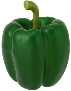 yHiTvEʕE؁Et[cExW^uzpvJ(3P/pbN)(BCt)EO[@tFCNt[h@fBXvC