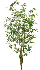 yԁEE|Eou[E[z240`250cmou[c[(L)