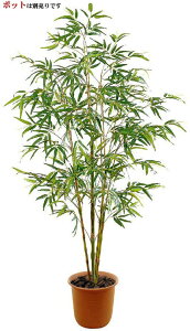 yԁEE|Eou[E[z190`200cmou[c[(S)