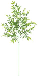 yԁEE|Eou[E[z190cm[pou[c[