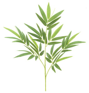 �y���ԁE���E�|�E�o���u�[�E���[�z63cm�o���u�[�X�v���C