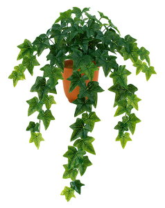 yԁE[tzEH[^[v[tEACr[ubVBCt