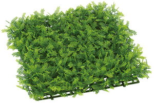 yԁE}bgEK[fzAJVA[t}bg