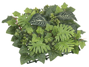 yԁE}bgEK[fzZ[~bNX[t}bg