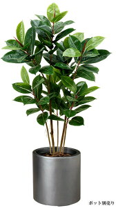 【ツリー・観葉】120cmゴムの木(S)