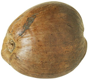 yHiTvEVzV̎iɐĂꍇLjp@tFCNt[h@fBXvC