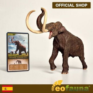 y|Cg10{z GIt@Ei Eofauna gSe[]E i1F40j EO001 | tBMA j̎q WVbN A  ͌^  ߋ ]E }X