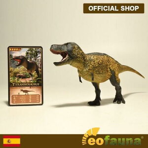 y|Cg10{z GIt@Ei Eofauna eBmTEXESuei1F40j EO009 | tBMA tBMA WVbN A  TbNX ͌^