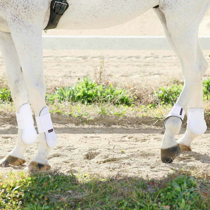 楽天市場 乗馬 馬用 肢 プロテクター 前肢 後肢 左右 4肢 セット 乗馬用品 馬 用 馬具 用品 初心者 ビギナー 競技 エクリベルタ Equliberta プロテクター 前後左右4肢セット 乗馬用品専門店ジョセス