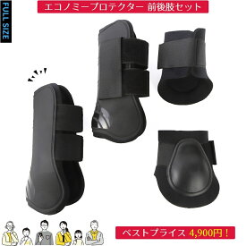 乗馬 プロテクター エコノミー プロテクター 前後肢セット 乗馬用品 馬具 ベストプライスシリーズ