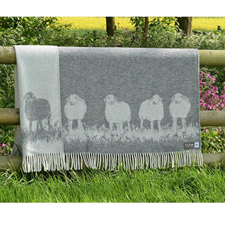 新商品 J.J.Textile ホース スモールブランケット 乗馬 雑貨 乗馬用品 馬具 cegolak.desa.id 新商品 J.J.Textile ホース スモールブランケット 乗馬 雑貨 乗馬用品 馬具 cegolak.desa.id