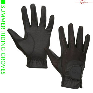 n O[u npO[u np Covalliero T}[ CfBO O[u nO[u np fB[X Y WjA j  q  npi n JoG npi