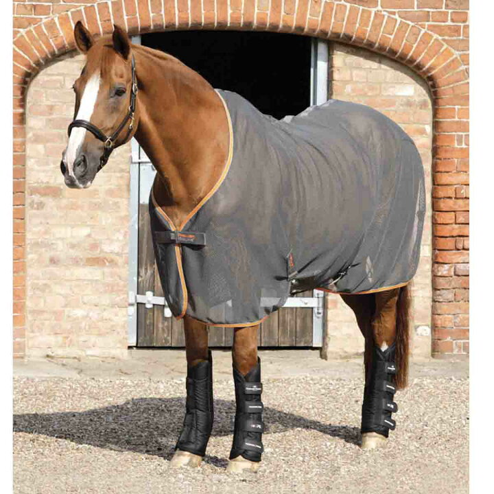 楽天市場】乗馬 輸送用道具 Premier Equine トラベルテック ブーツ 
