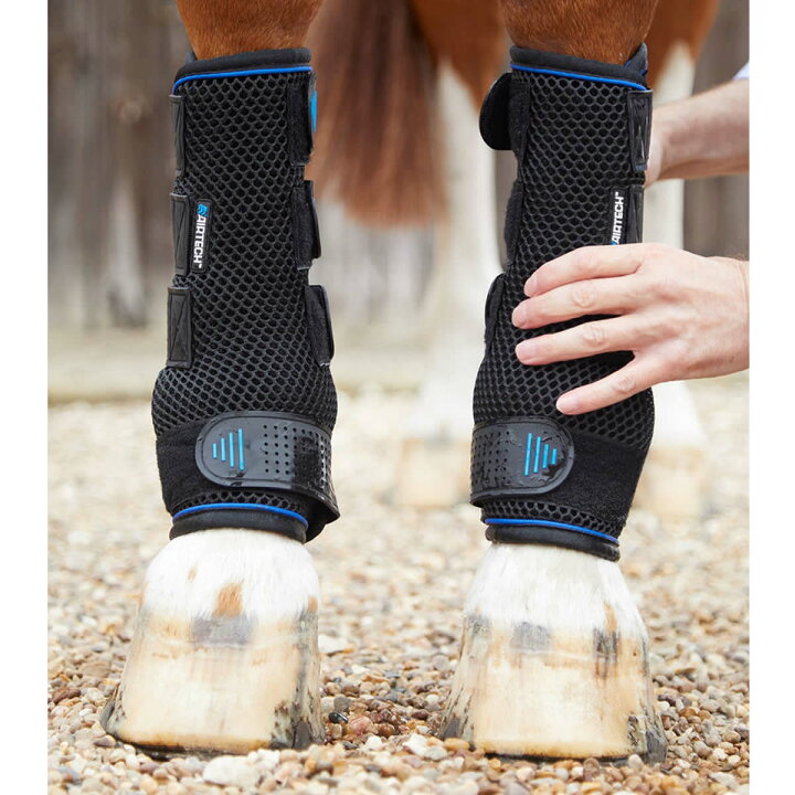 楽天市場】乗馬 肢巻 バンテージ Premiere Equine アイシングブーツ  